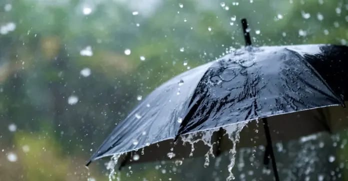 കേരളത്തിൽ അടുത്ത 5 ദിവസം വ്യാപക മഴ; വിവിധ ജില്ലകളിൽ ജാഗ്രതാ നിർദേശം.