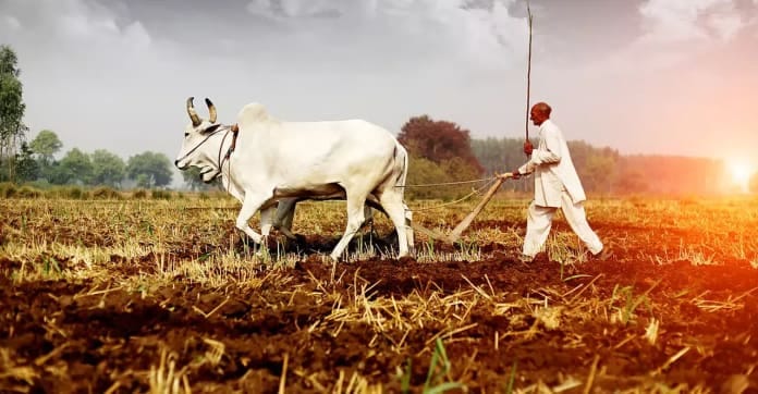 2026-ല് കടുത്ത വരൾച്ചയും ഭക്ഷ്യപ്രതിസന്ധിയും ഇന്ത്യയിലേക്ക് എൽ നിനോ ഭീഷണി മുന്നറിയിപ്പുമായി യുഎൻ